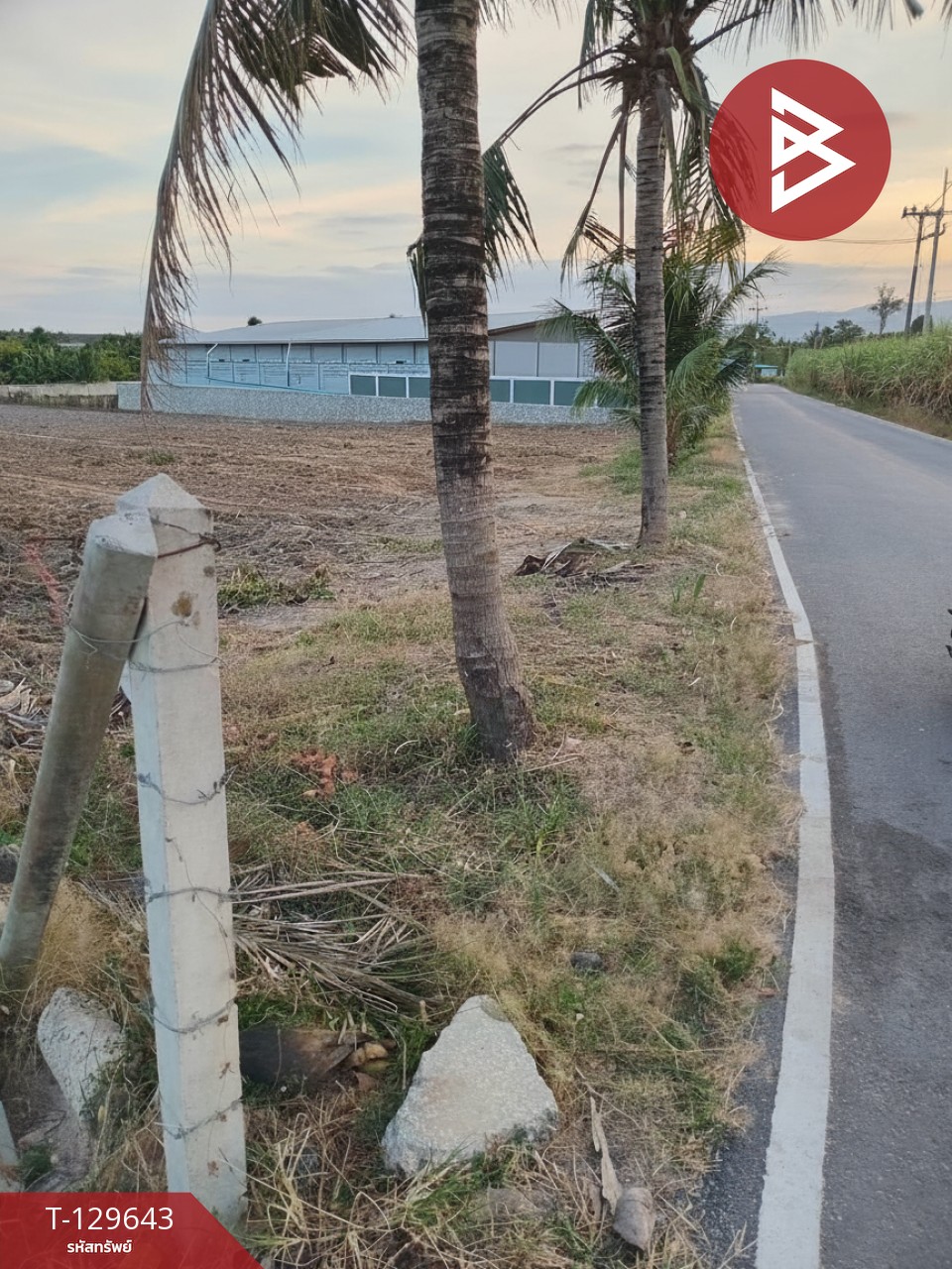 ขายที่ดิน เนื้อที่ 4 ไร่ บ้านบึง ชลบุรี 1