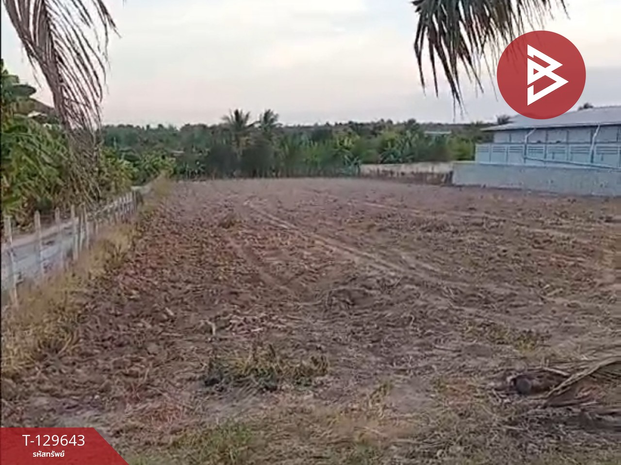 ขายที่ดิน เนื้อที่ 4 ไร่ บ้านบึง ชลบุรี 2
