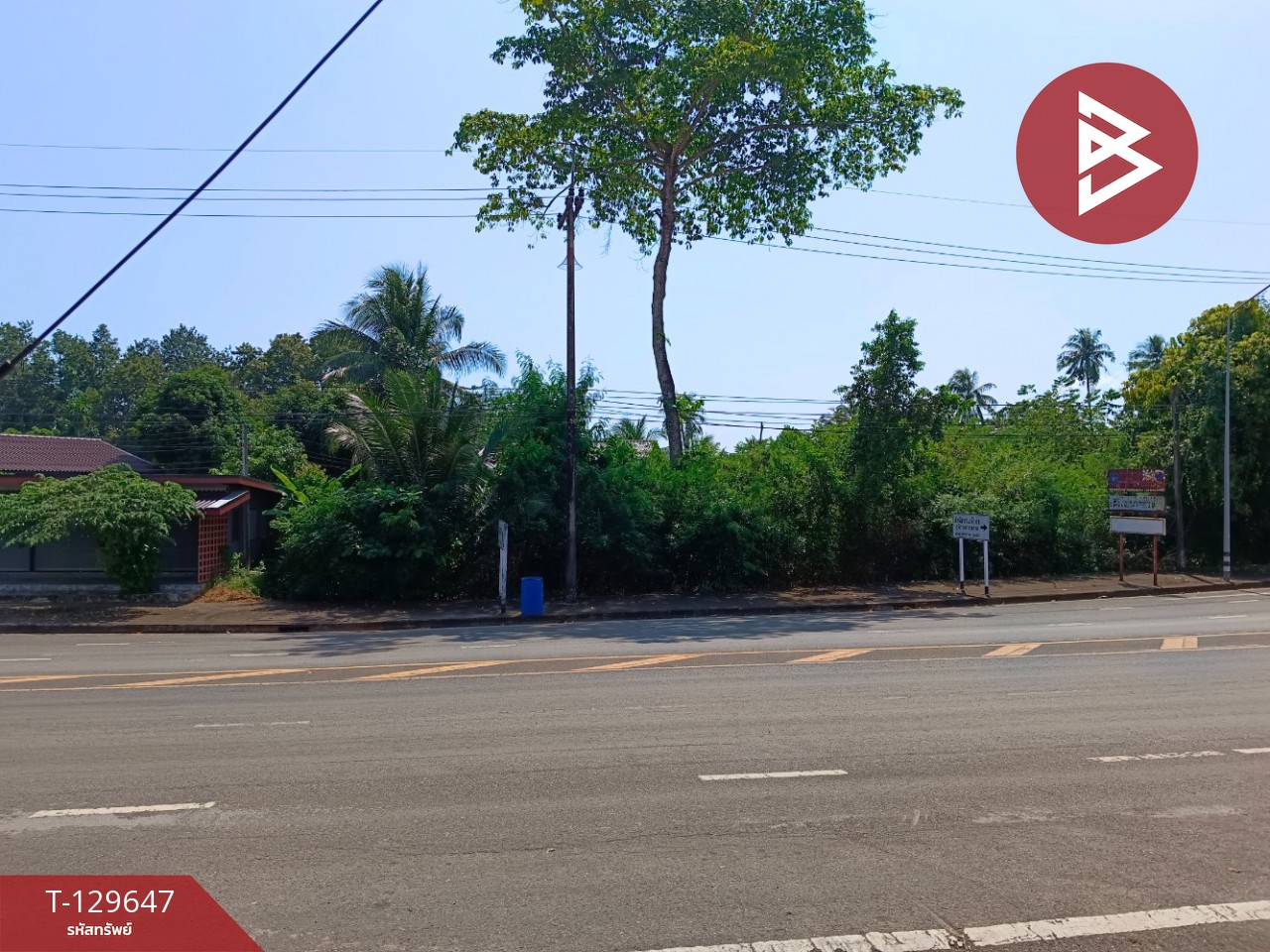 ขายที่ดิน เนื้อที่ 20 ไร่ 1 งาน 81.5 ตารางวา อ.แหลมงอบ จ.ตราด ใกล้ทะเล 4