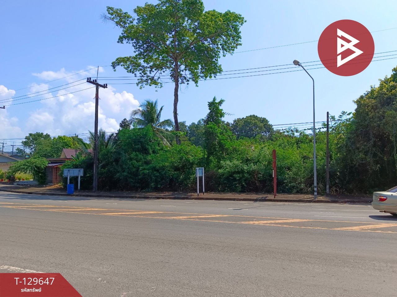 ขายที่ดิน เนื้อที่ 20 ไร่ 1 งาน 81.5 ตารางวา อ.แหลมงอบ จ.ตราด ใกล้ทะเล 2