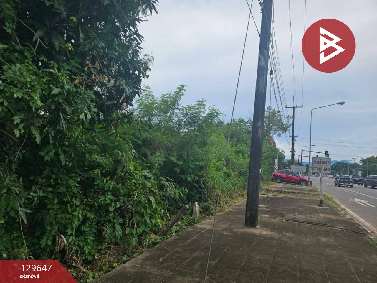 ขายที่ดิน เนื้อที่ 20 ไร่ 1 งาน 81.5 ตารางวา อ.แหลมงอบ จ.ตราด ใกล้ทะเล 1