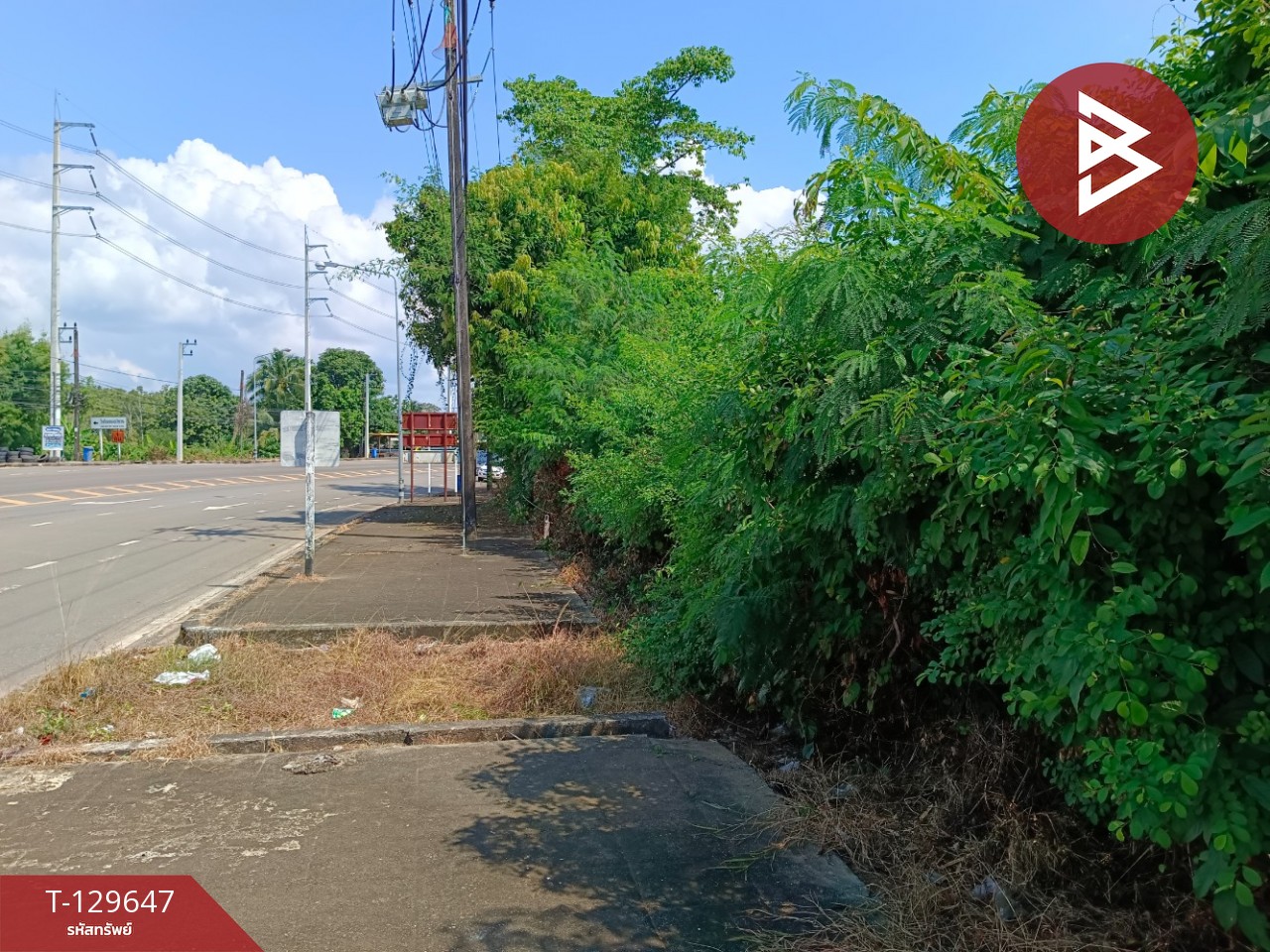 ขายที่ดิน เนื้อที่ 20 ไร่ 1 งาน 81.5 ตารางวา อ.แหลมงอบ จ.ตราด ใกล้ทะเล 5