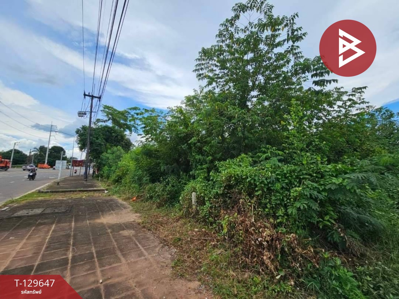 ขายที่ดิน เนื้อที่ 20 ไร่ 1 งาน 81.5 ตารางวา อ.แหลมงอบ จ.ตราด ใกล้ทะเล 3