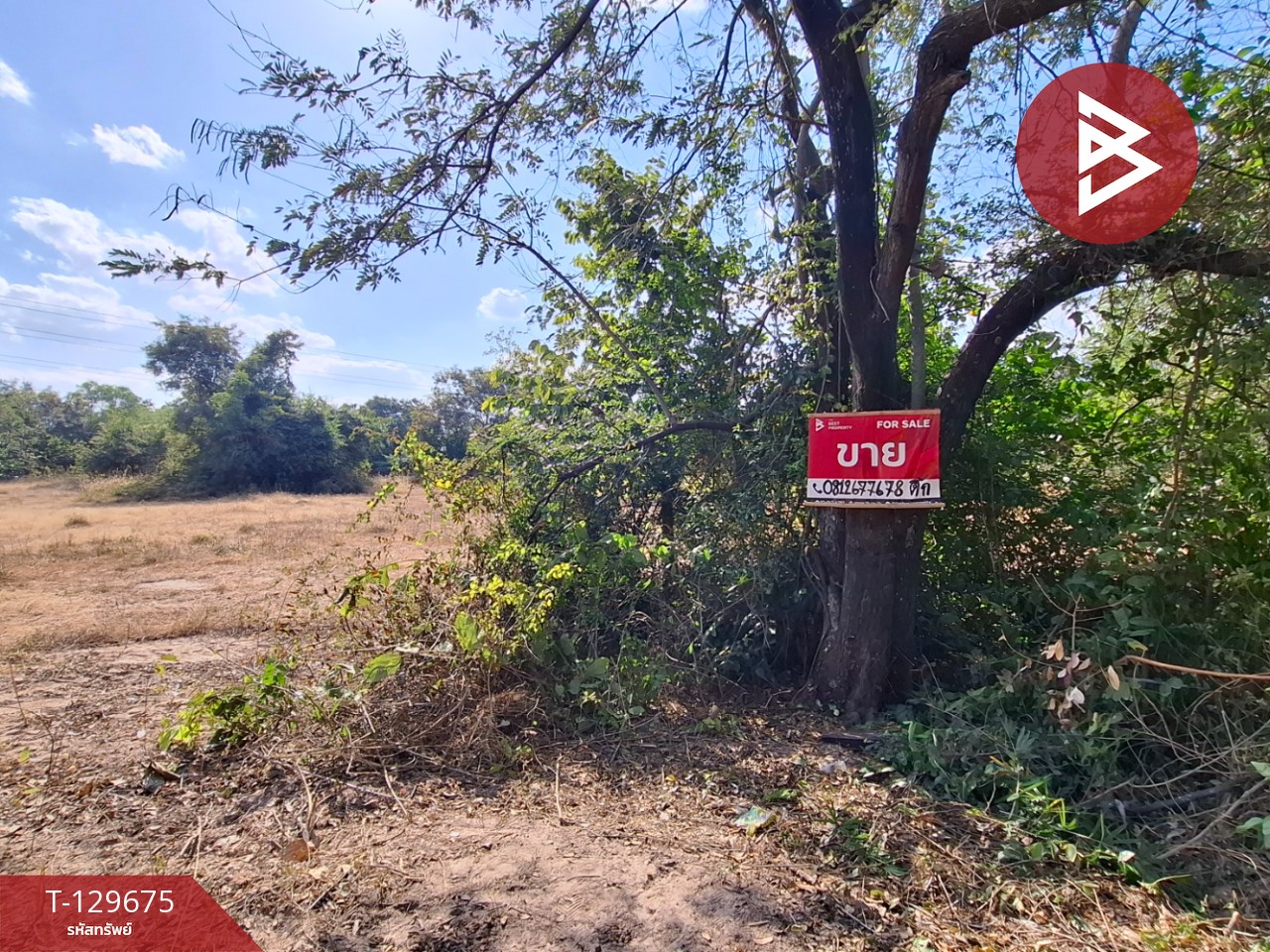 ขายที่ดิน เนื้อที่ 1 งาน 58 ตารางวา สีแก้ว ร้อยเอ็ด 1