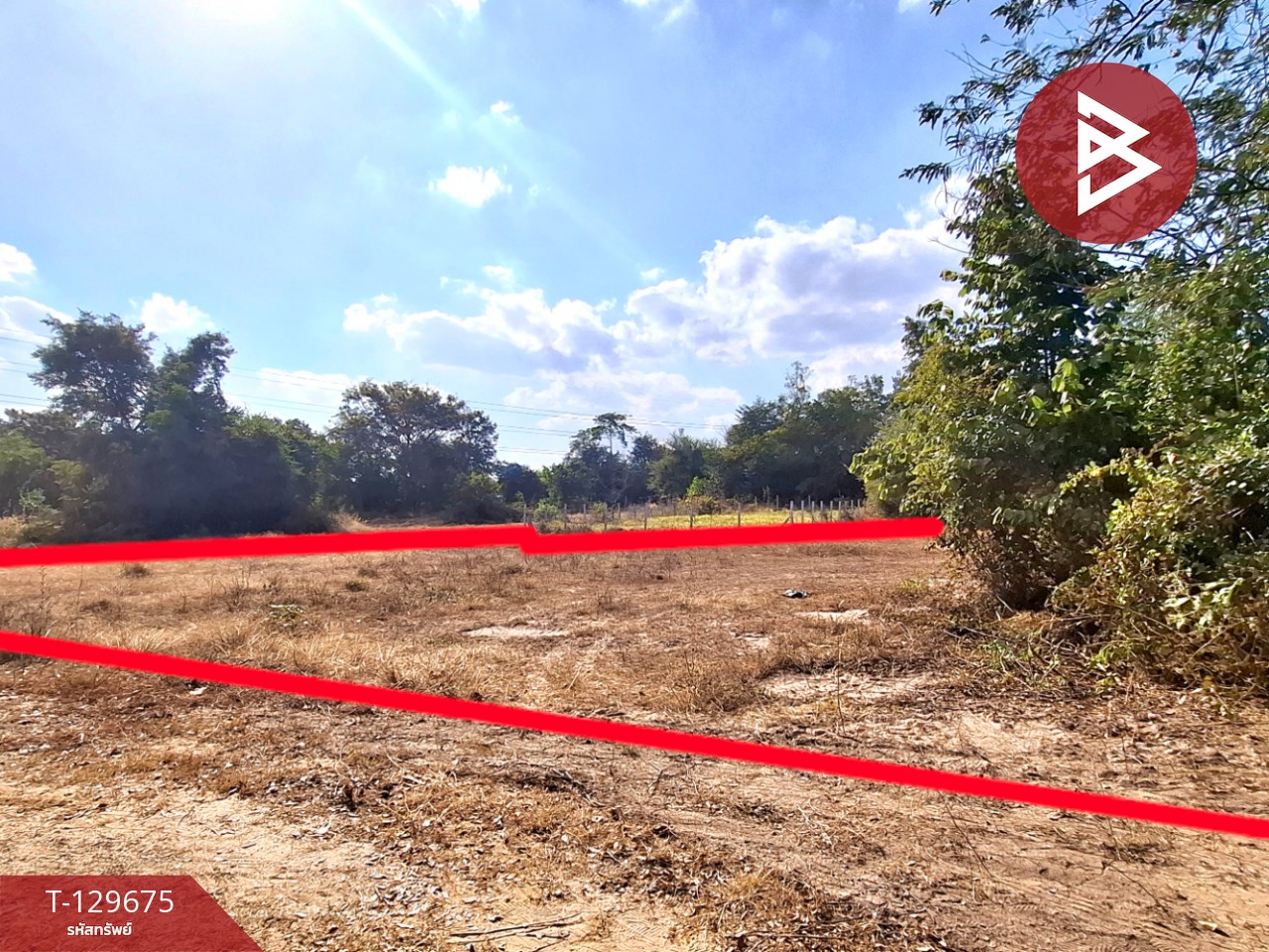 ขายที่ดิน เนื้อที่ 1 งาน 58 ตารางวา สีแก้ว ร้อยเอ็ด 5