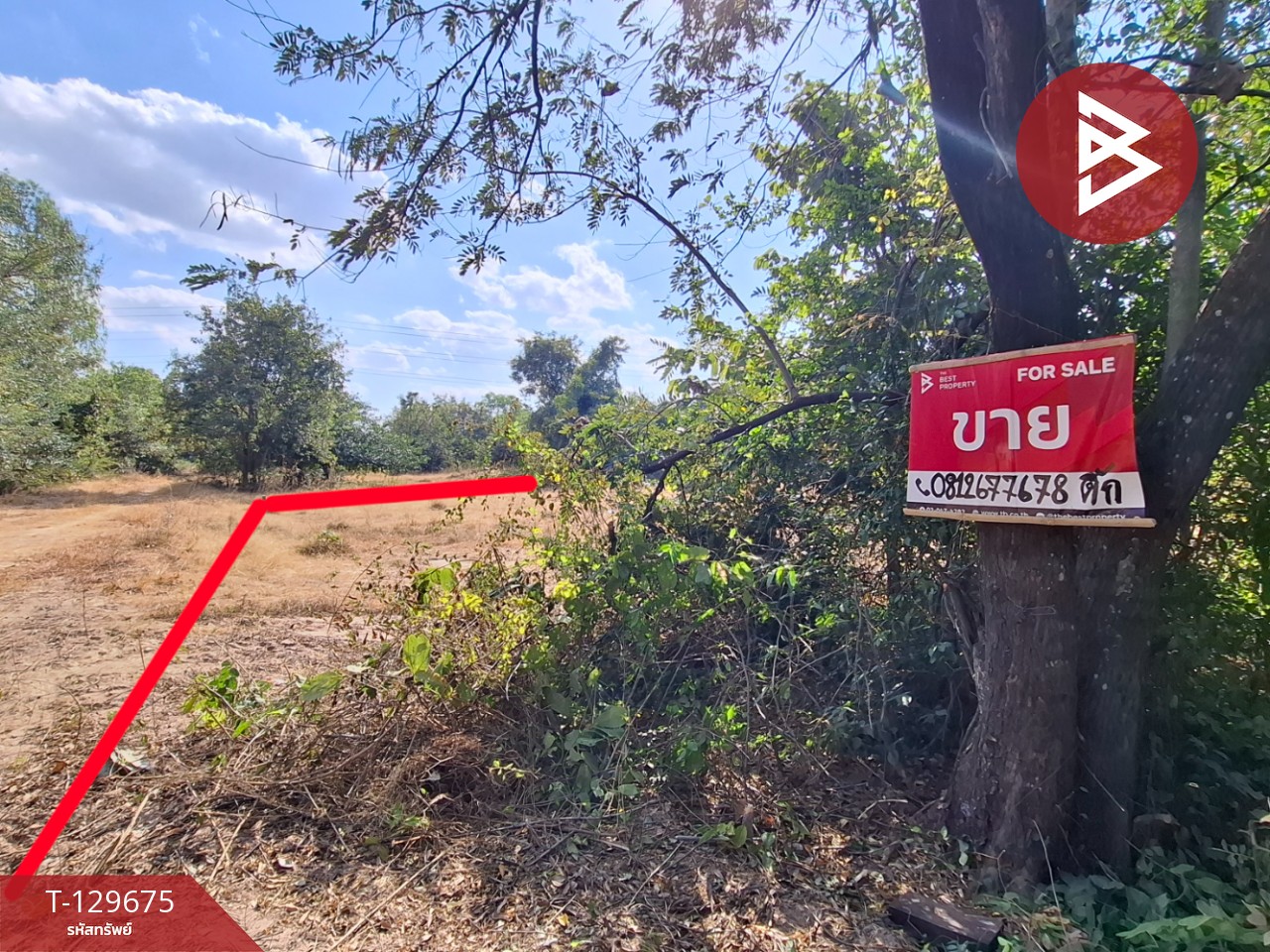 ขายที่ดิน เนื้อที่ 1 งาน 58 ตารางวา สีแก้ว ร้อยเอ็ด 2