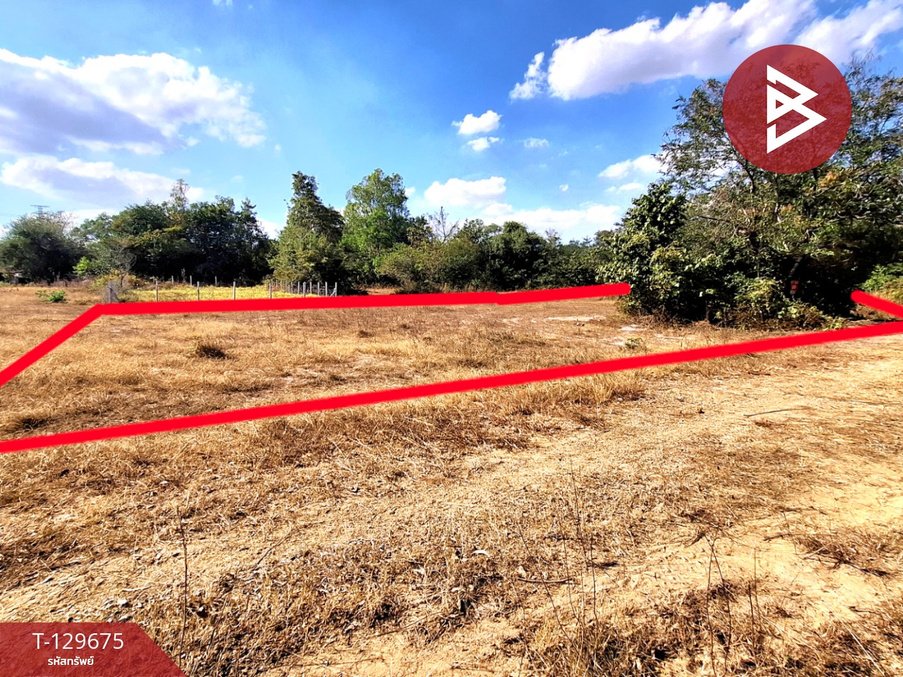 ขายที่ดิน เนื้อที่ 1 งาน 58 ตารางวา สีแก้ว ร้อยเอ็ด 6