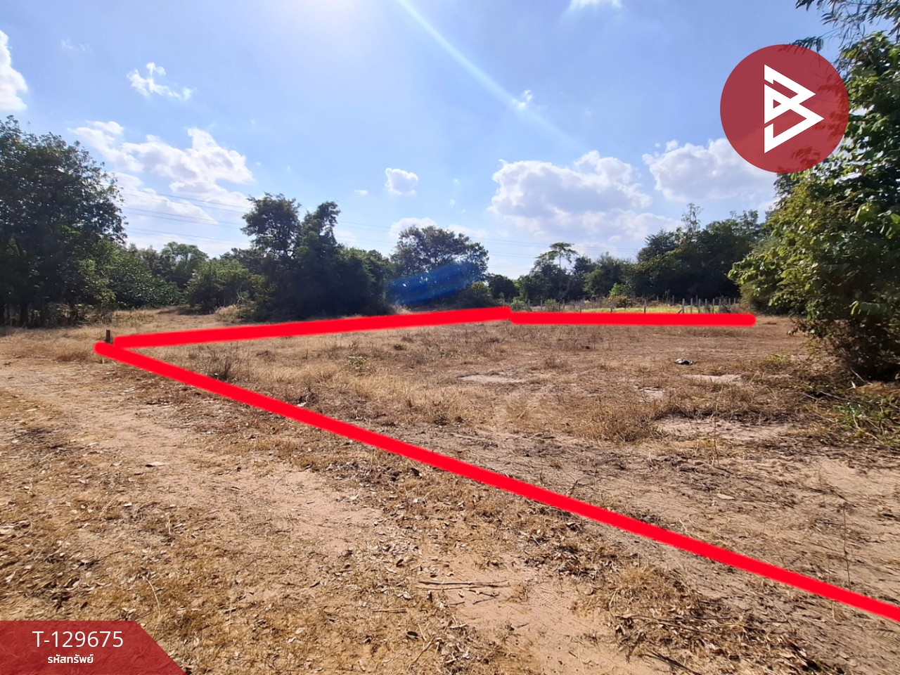 ขายที่ดิน เนื้อที่ 1 งาน 58 ตารางวา สีแก้ว ร้อยเอ็ด 4