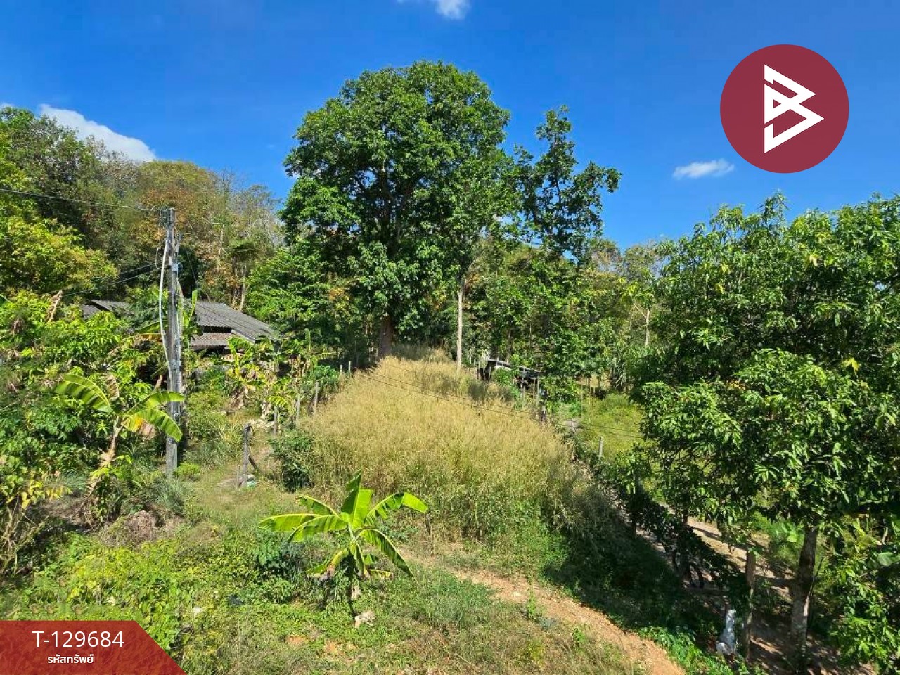 ขายที่ดิน เนื้อที่ 92 ตร.วา ท่าใหม่ จันทบุรี 9