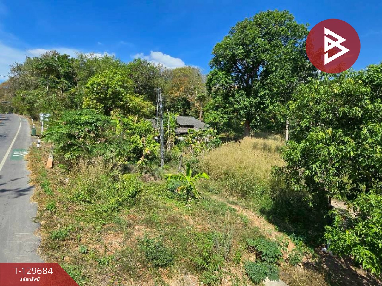 ขายที่ดิน เนื้อที่ 92 ตร.วา ท่าใหม่ จันทบุรี 5