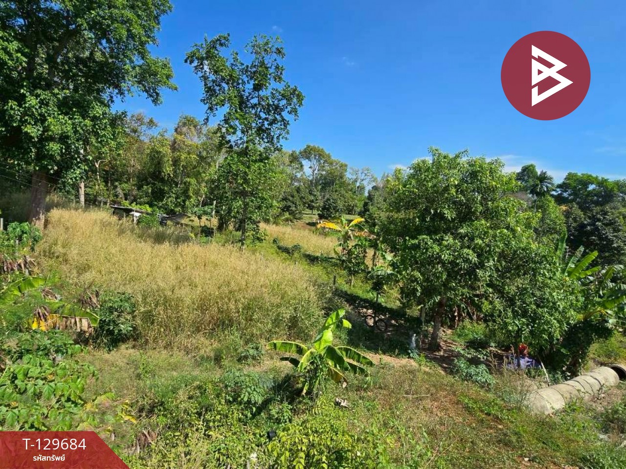 ขายที่ดิน เนื้อที่ 92 ตร.วา ท่าใหม่ จันทบุรี 8