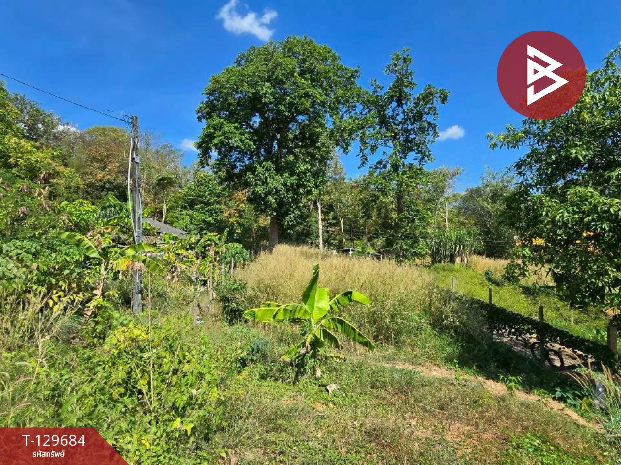 ขายที่ดิน เนื้อที่ 92 ตร.วา ท่าใหม่ จันทบุรี 6