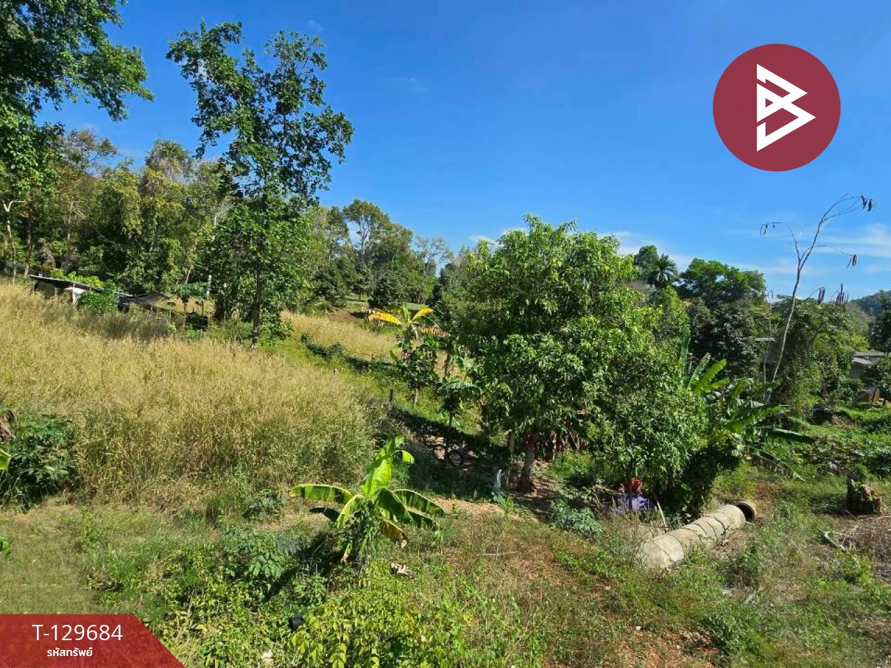 ขายที่ดิน เนื้อที่ 92 ตร.วา ท่าใหม่ จันทบุรี 7