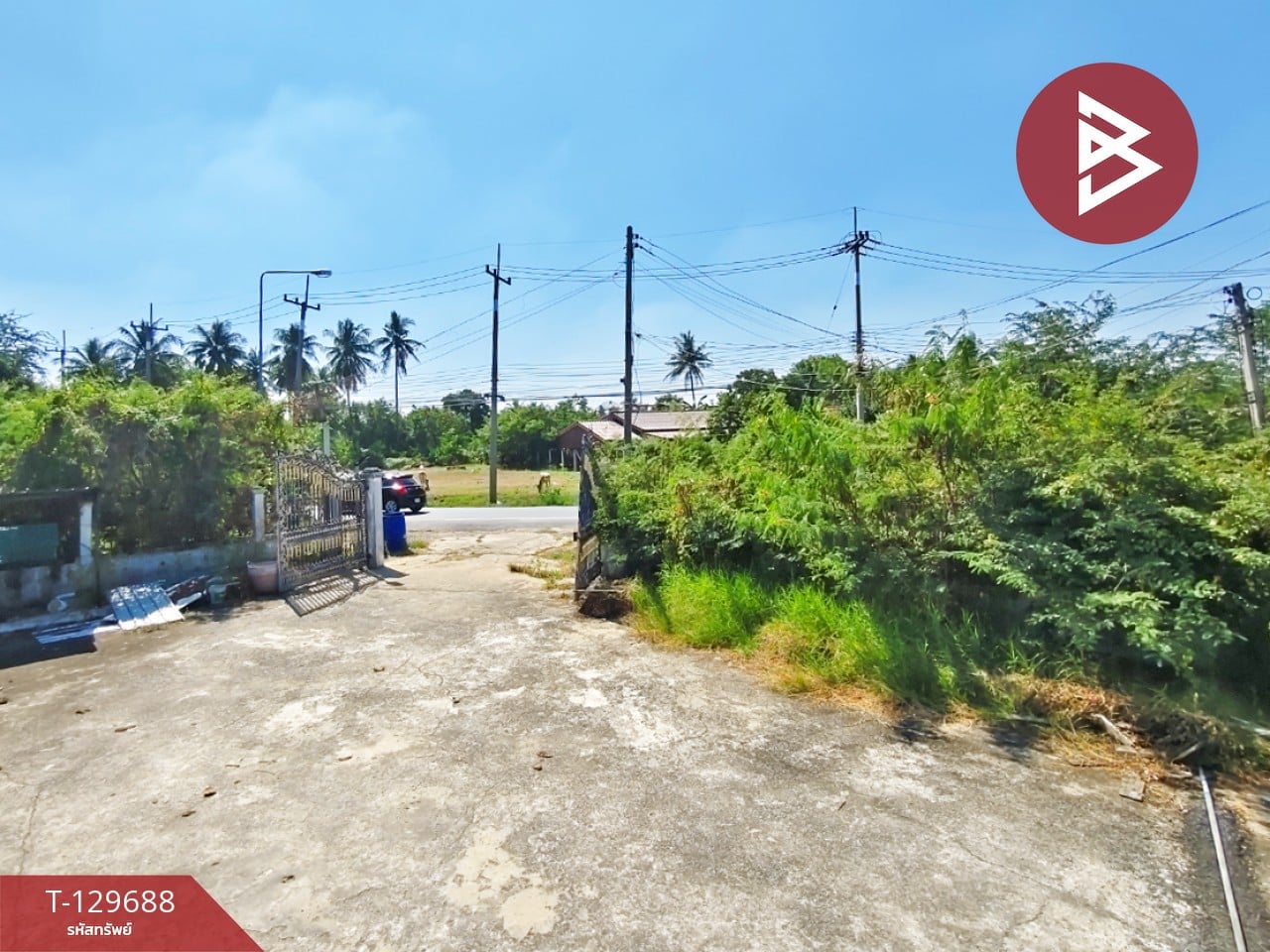 ขายบ้านเดี่ยว เนื้อที่ 290 ตารางวา นครชัยศรี นครปฐม ติดถนนหลักทำเลดี 4