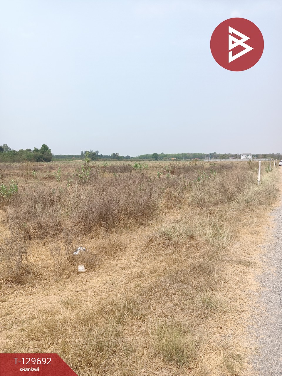 ขายที่ดินถมแล้ว เนื้อที่ 10 ไร่ 2 งาน 66.3 ตร.วา จอมบึง ราชบุรี 8