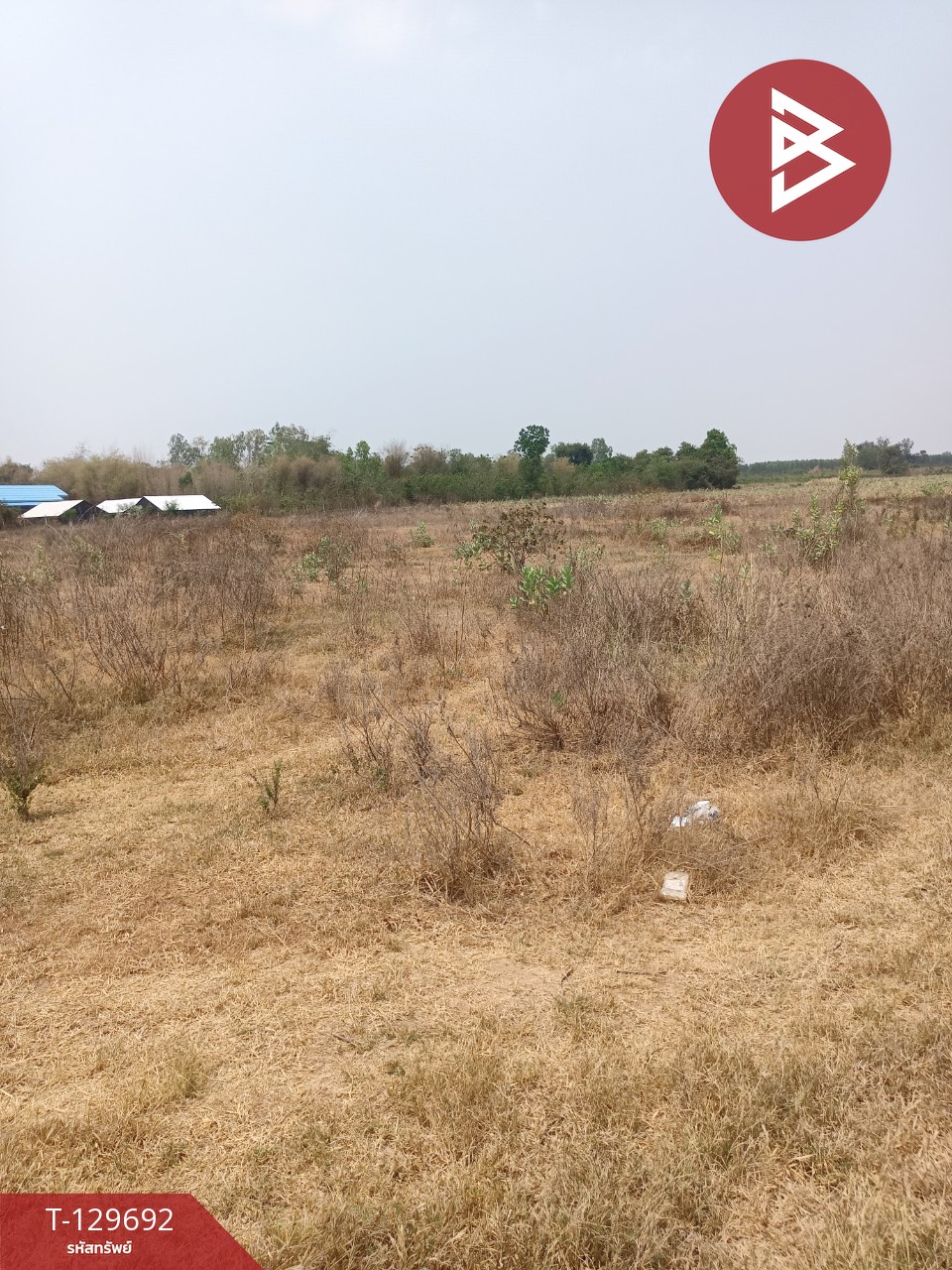 ขายที่ดินถมแล้ว เนื้อที่ 10 ไร่ 2 งาน 66.3 ตร.วา จอมบึง ราชบุรี 7