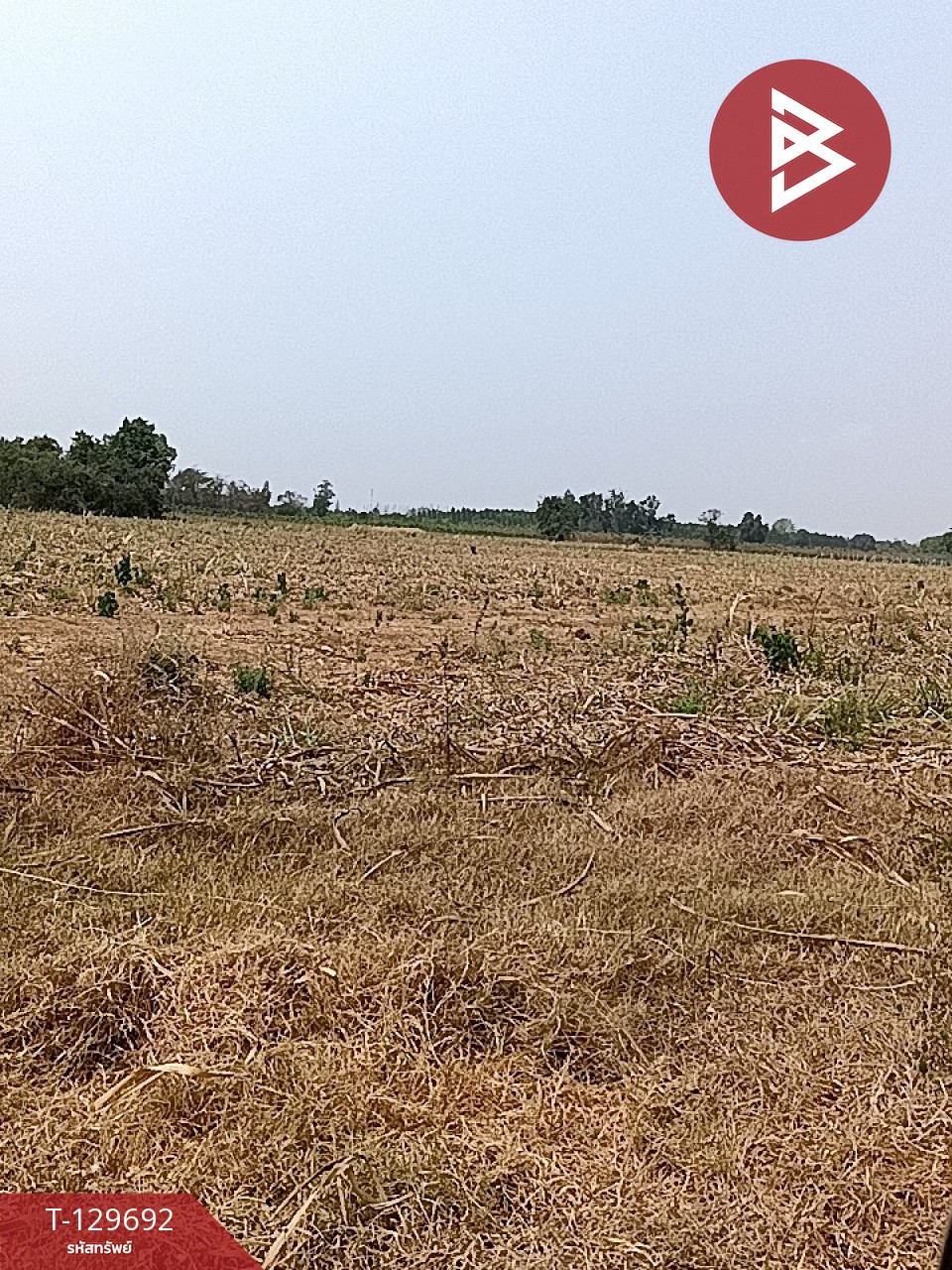 ขายที่ดินถมแล้ว เนื้อที่ 10 ไร่ 2 งาน 66.3 ตร.วา จอมบึง ราชบุรี 9