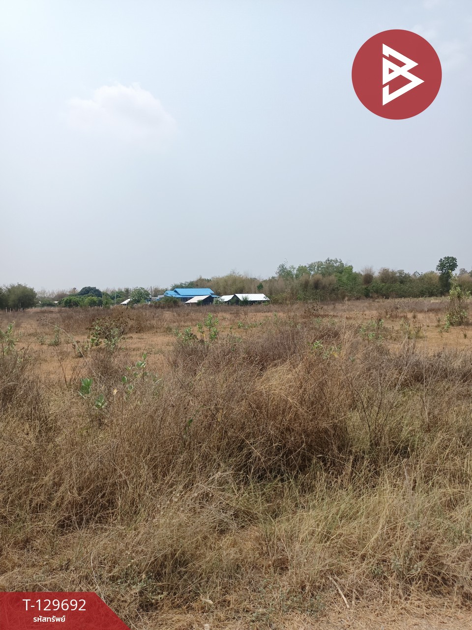 ขายที่ดินถมแล้ว เนื้อที่ 10 ไร่ 2 งาน 66.3 ตร.วา จอมบึง ราชบุรี 6