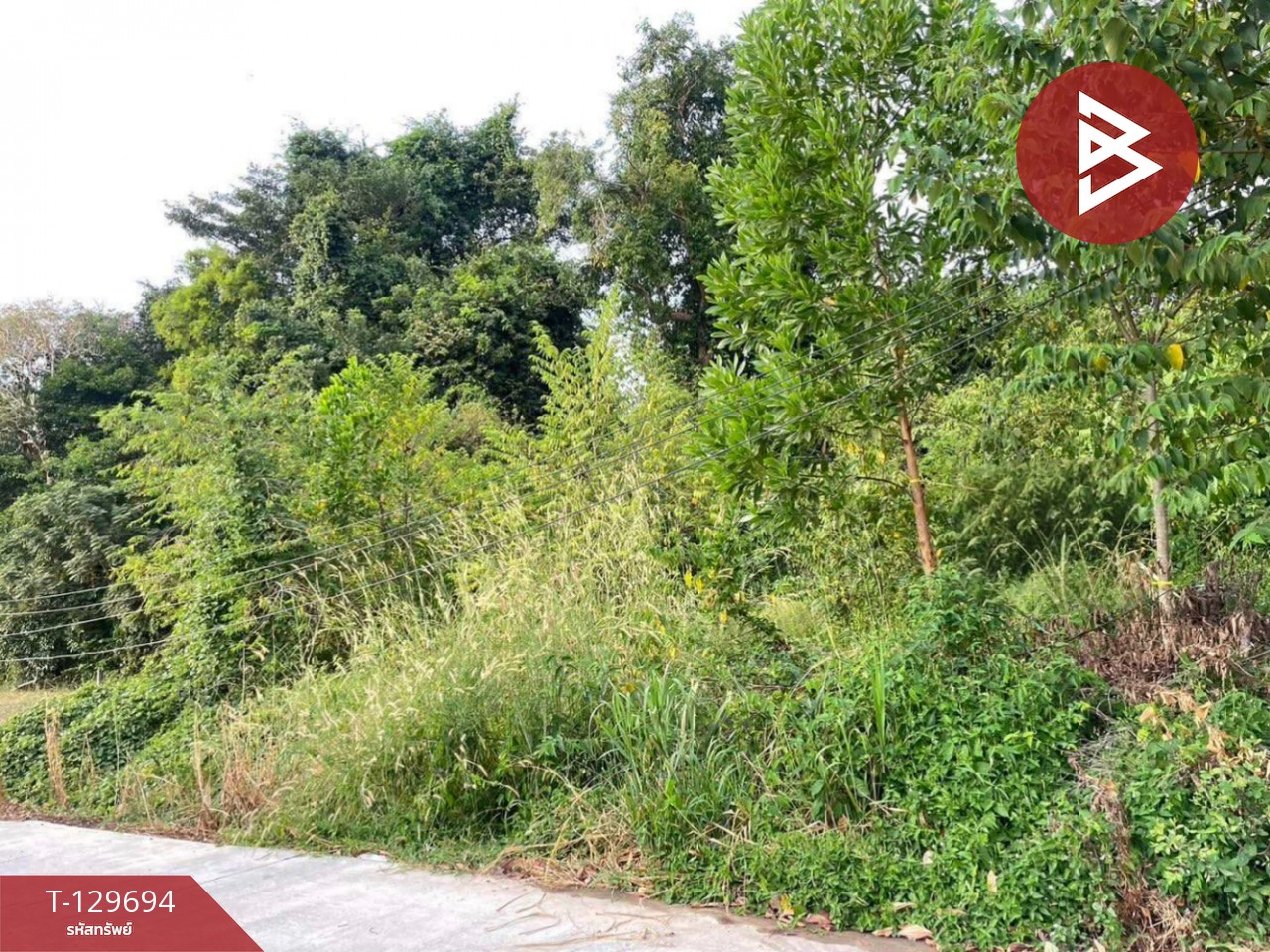 ขายที่ดินสวย เนื้อที่ 78 ตารางวา ท่าช้าง เมืองจันทบุรี ทำเลทอง 3