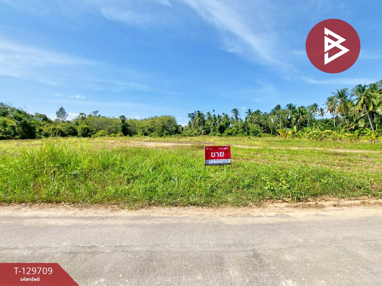 ขายที่ดิน เนื้อที่ 1 ไร่ 96 ตร.วา พระพรหม นครศรีธรรมราช 3