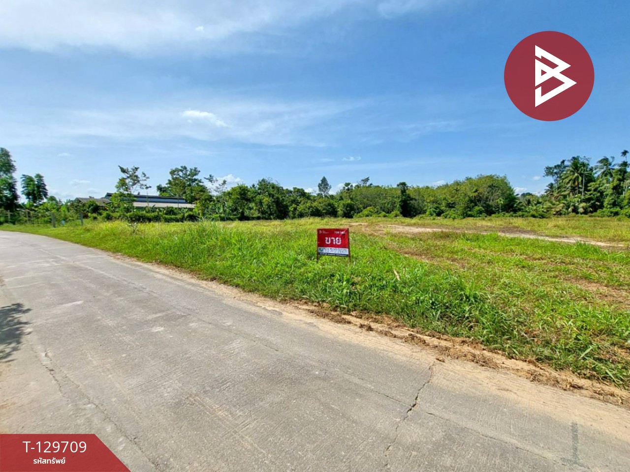 ขายที่ดิน เนื้อที่ 1 ไร่ 96 ตร.วา พระพรหม นครศรีธรรมราช 2