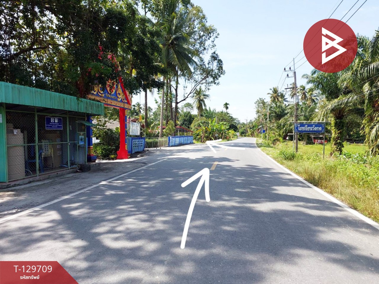 ขายที่ดิน เนื้อที่ 1 ไร่ 96 ตร.วา พระพรหม นครศรีธรรมราช 6