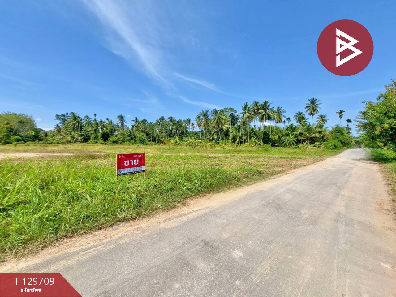 ขายที่ดิน เนื้อที่ 1 ไร่ 96 ตร.วา พระพรหม นครศรีธรรมราช 5