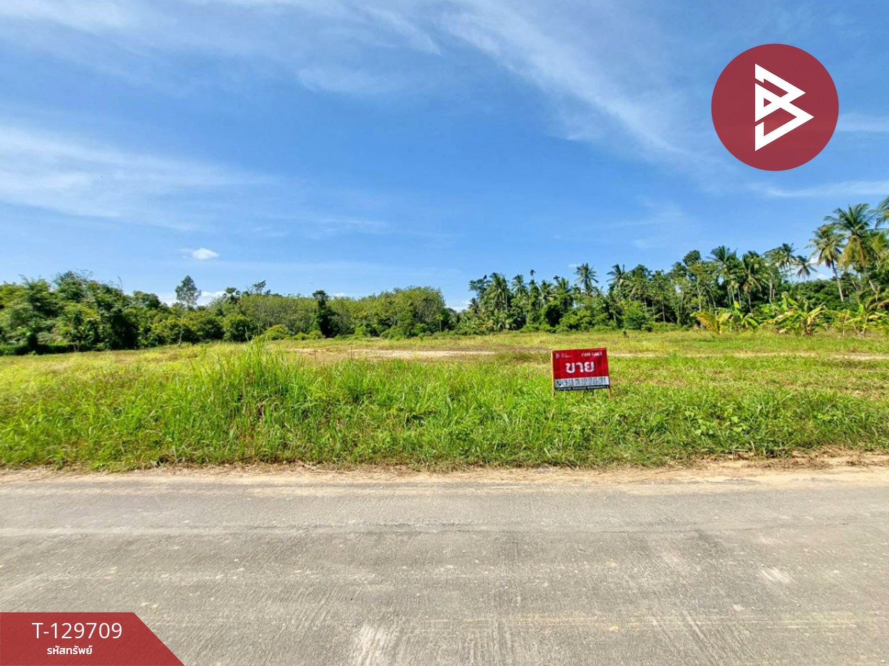 ขายที่ดิน เนื้อที่ 1 ไร่ 96 ตร.วา พระพรหม นครศรีธรรมราช 4