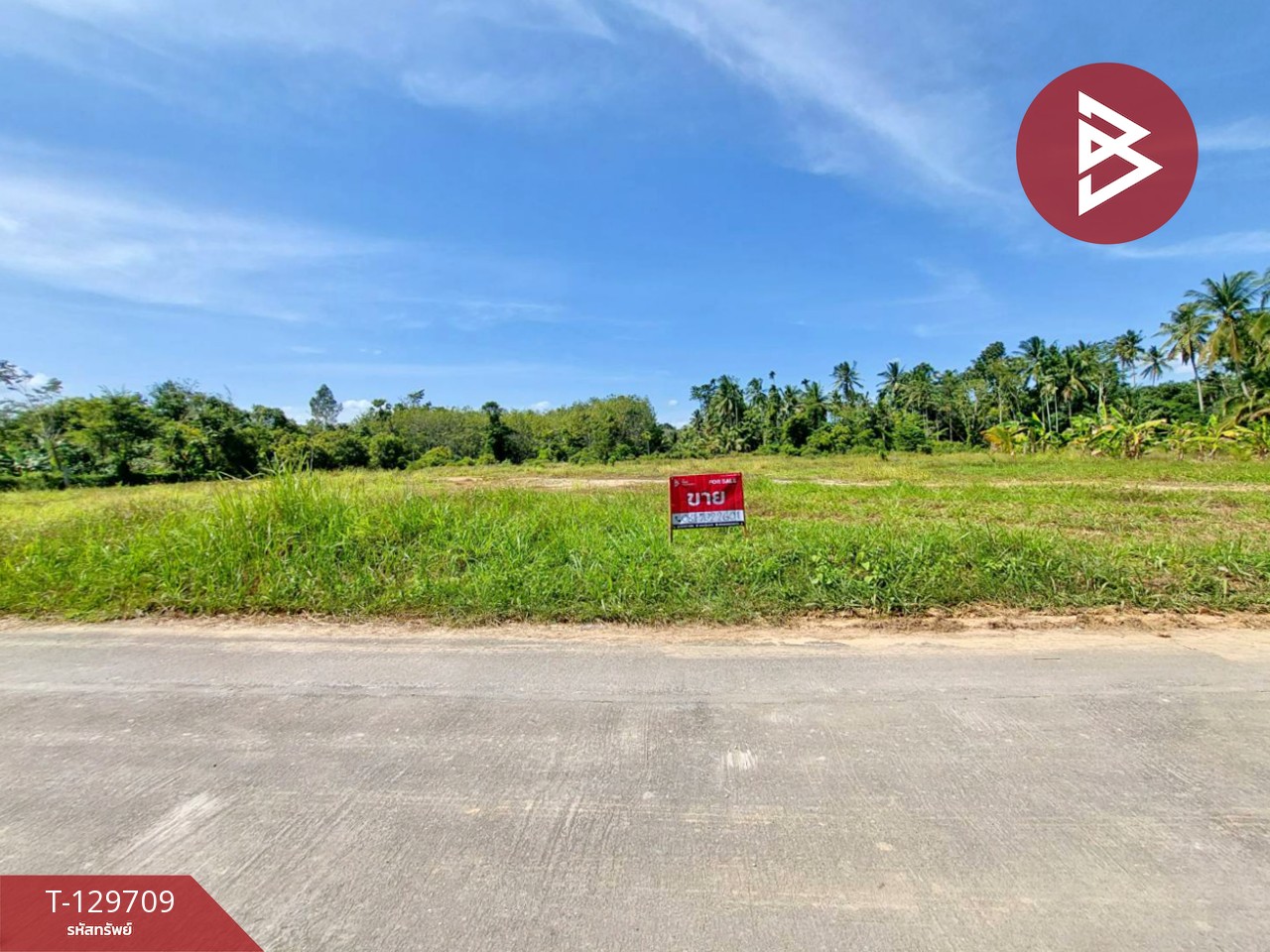 ขายที่ดิน เนื้อที่ 1 ไร่ 96 ตร.วา พระพรหม นครศรีธรรมราช 1