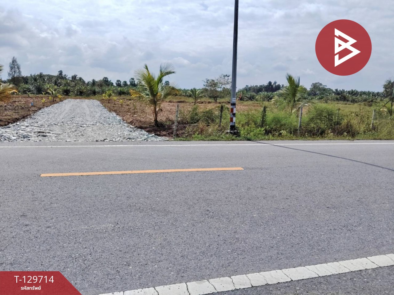 ขายที่ดิน เนื้อที่ 1 งาน 5 ตร.วา ท่าไร่ นครศรีธรรมราช 10