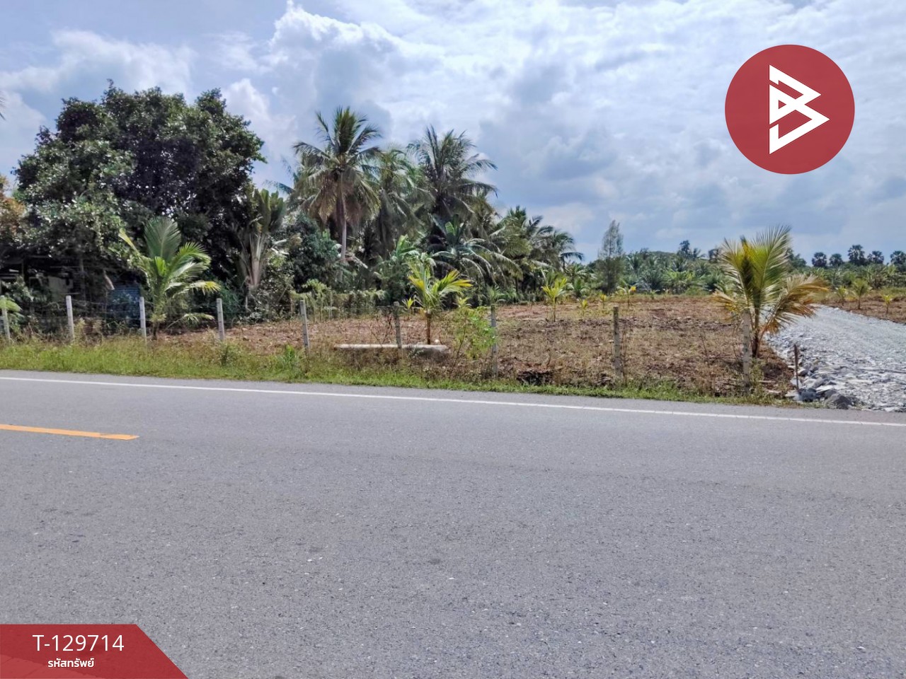 ขายที่ดิน เนื้อที่ 1 งาน 5 ตร.วา ท่าไร่ นครศรีธรรมราช 9