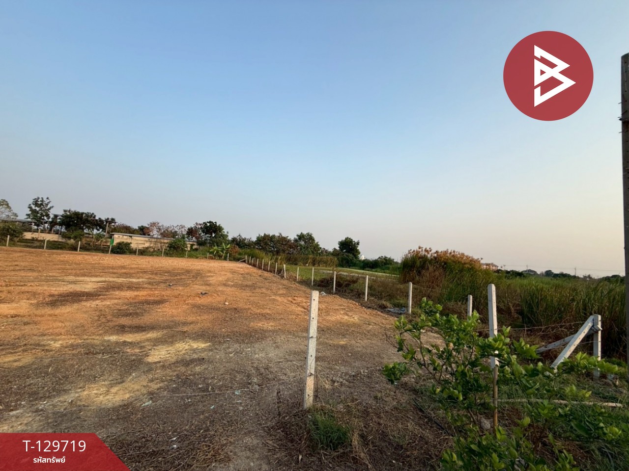 ขายที่ดิน เนื้อที่ 2 ไร่ 17.9 ตร.วา บางเสาธง สมุทรปราการ 6