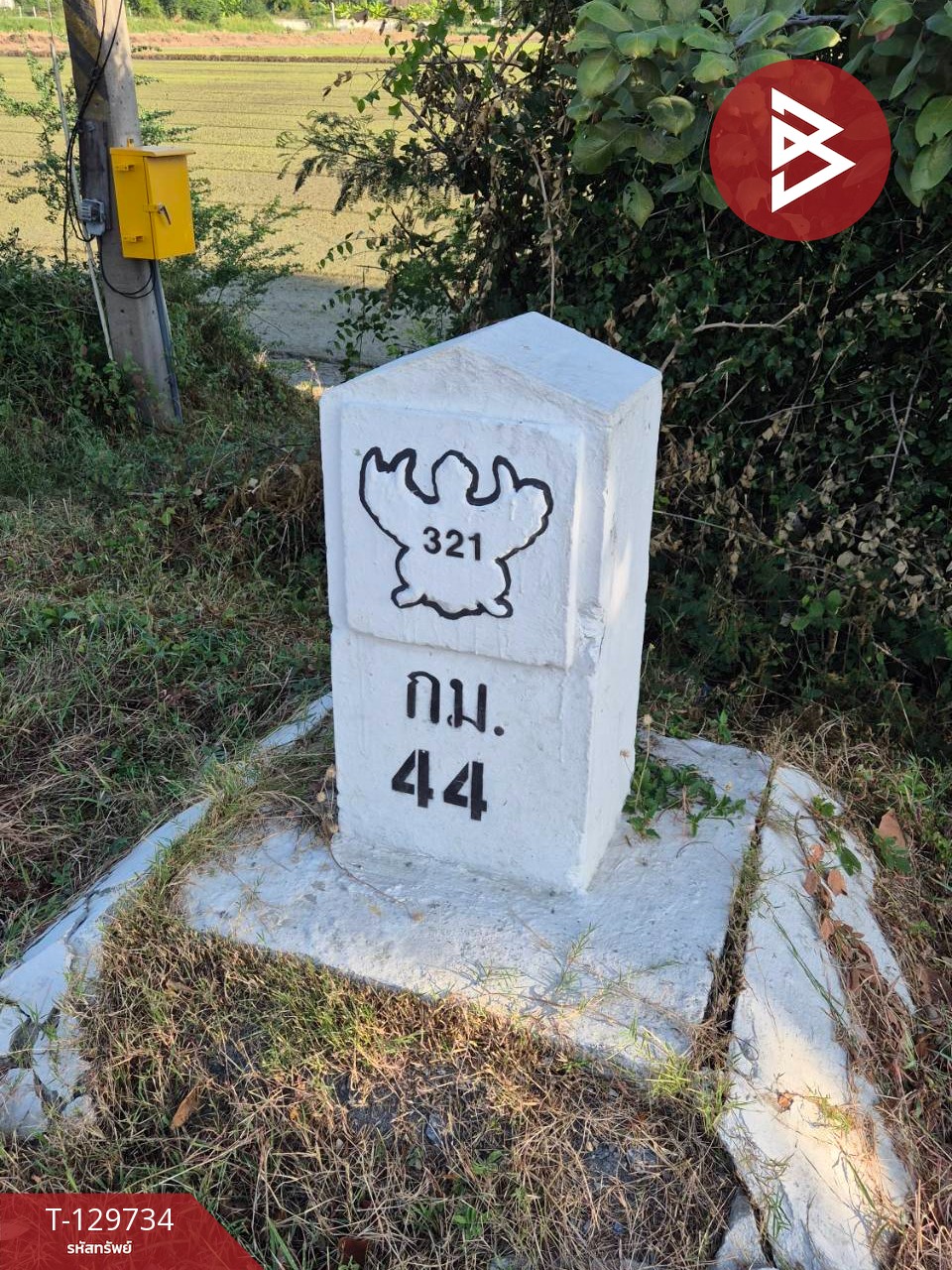 ขายที่ดิน เนื้อที่ 5 ไร่ สองพี่น้อง สุพรรณบุรี 12