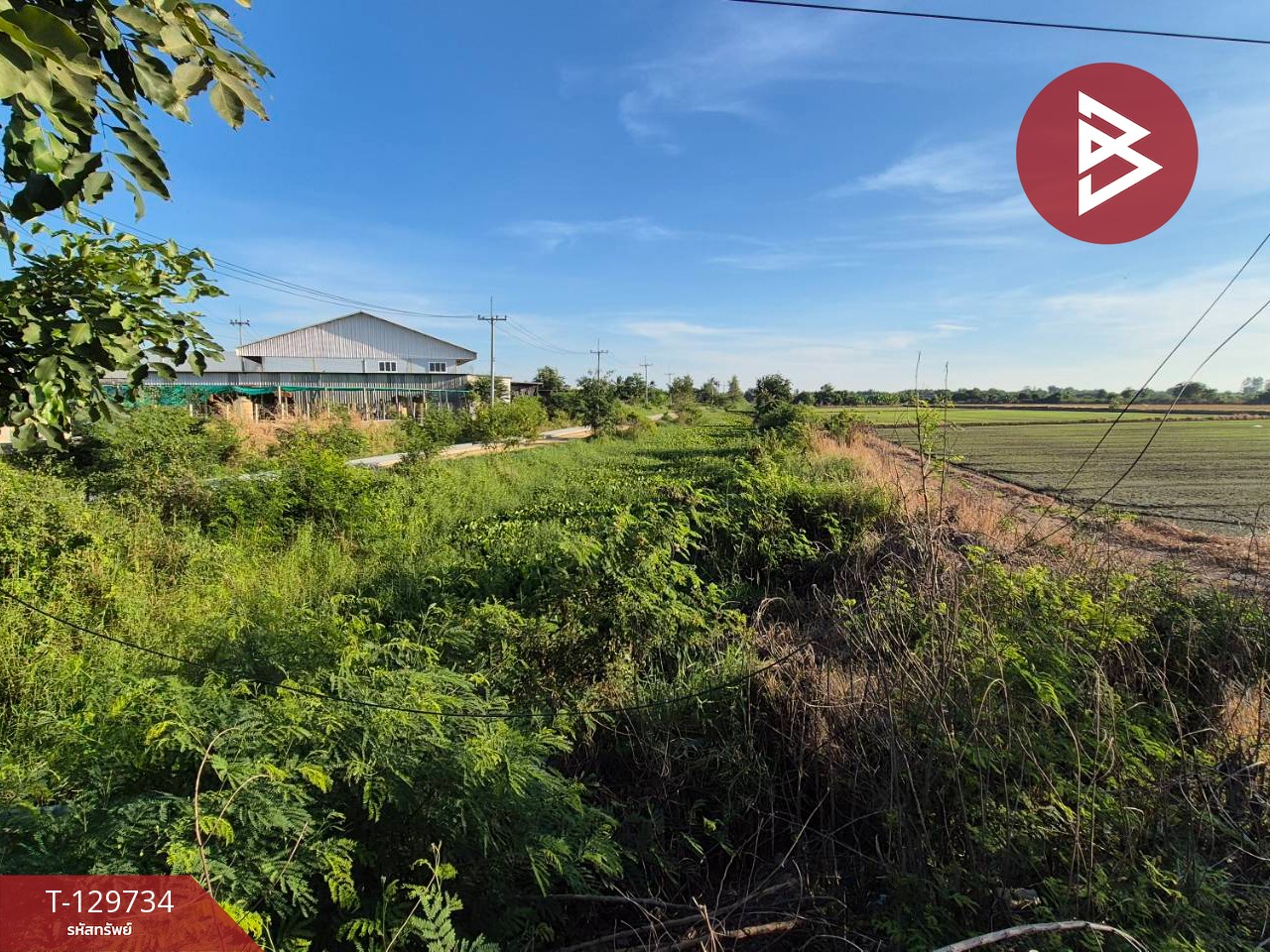 ขายที่ดิน เนื้อที่ 5 ไร่ สองพี่น้อง สุพรรณบุรี 4