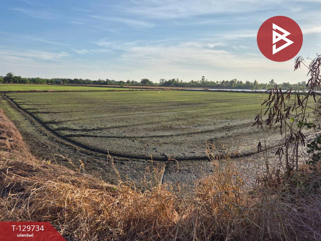 ขายที่ดิน เนื้อที่ 5 ไร่ สองพี่น้อง สุพรรณบุรี 5