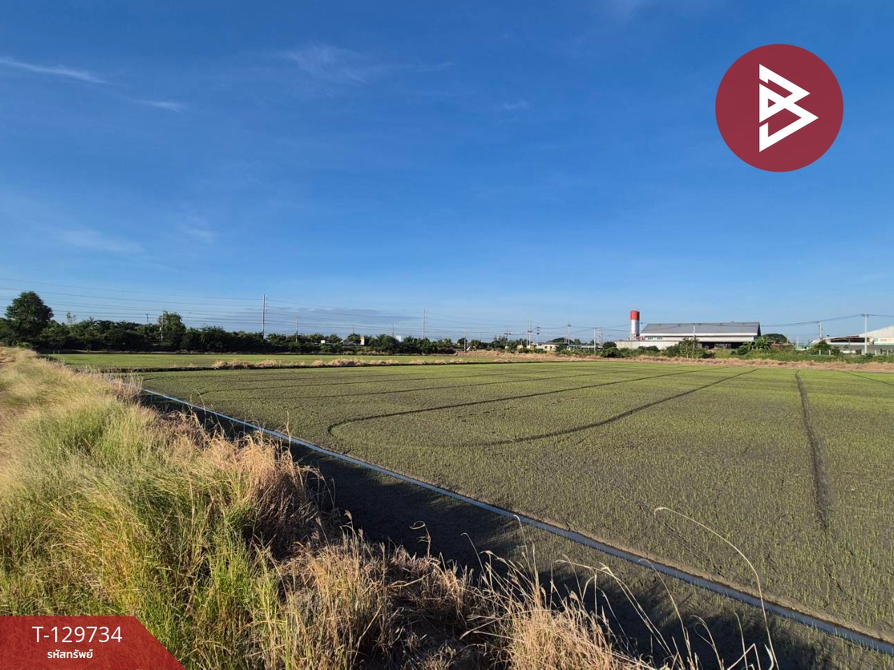 ขายที่ดิน เนื้อที่ 5 ไร่ สองพี่น้อง สุพรรณบุรี 3