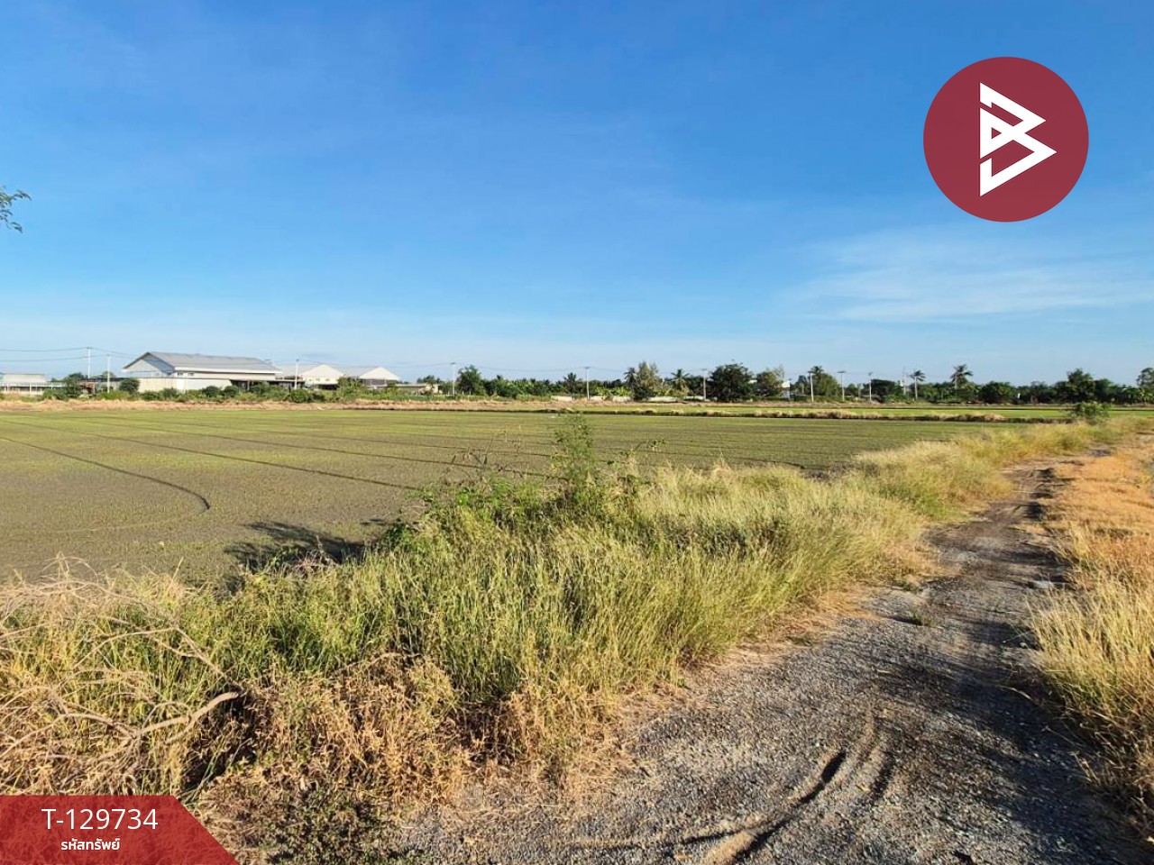 ขายที่ดิน เนื้อที่ 5 ไร่ สองพี่น้อง สุพรรณบุรี 1