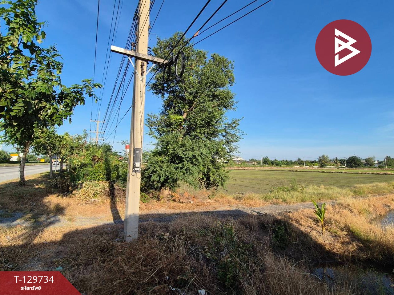 ขายที่ดิน เนื้อที่ 5 ไร่ สองพี่น้อง สุพรรณบุรี 6