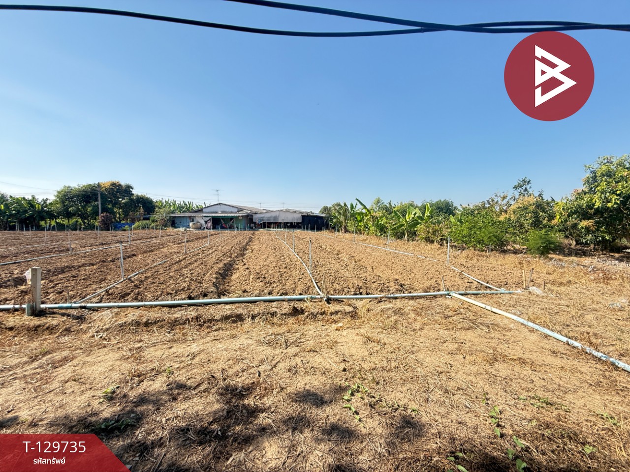 ขายที่ดินเปล่า เนื้อที่ 100 ตารางวา ติดคลองชลประทาน ต.ห้วยขวาง อ.กำแพงแสน นครปฐม 1