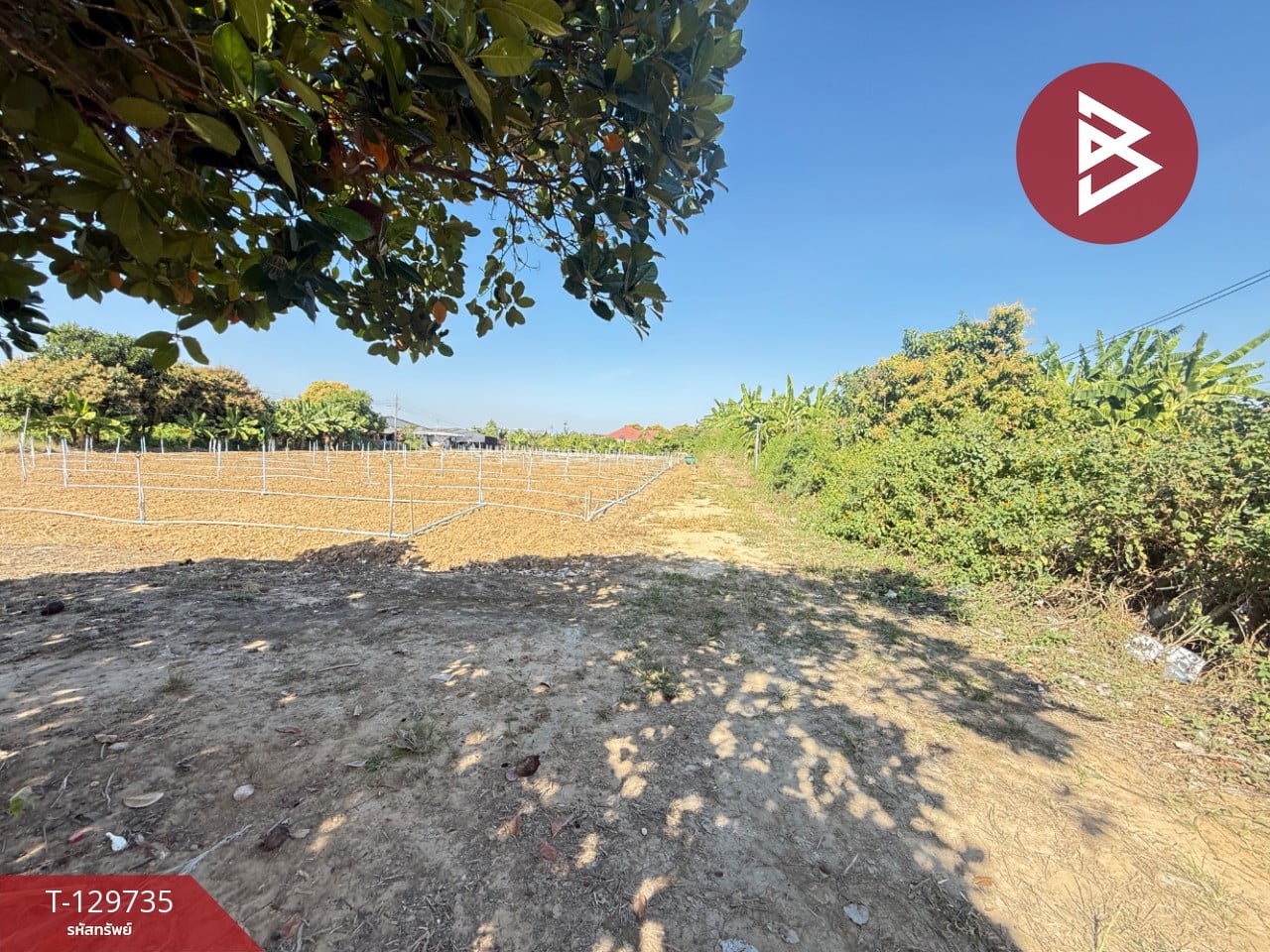 ขายที่ดินเปล่า เนื้อที่ 100 ตารางวา ติดคลองชลประทาน ต.ห้วยขวาง อ.กำแพงแสน นครปฐม 5