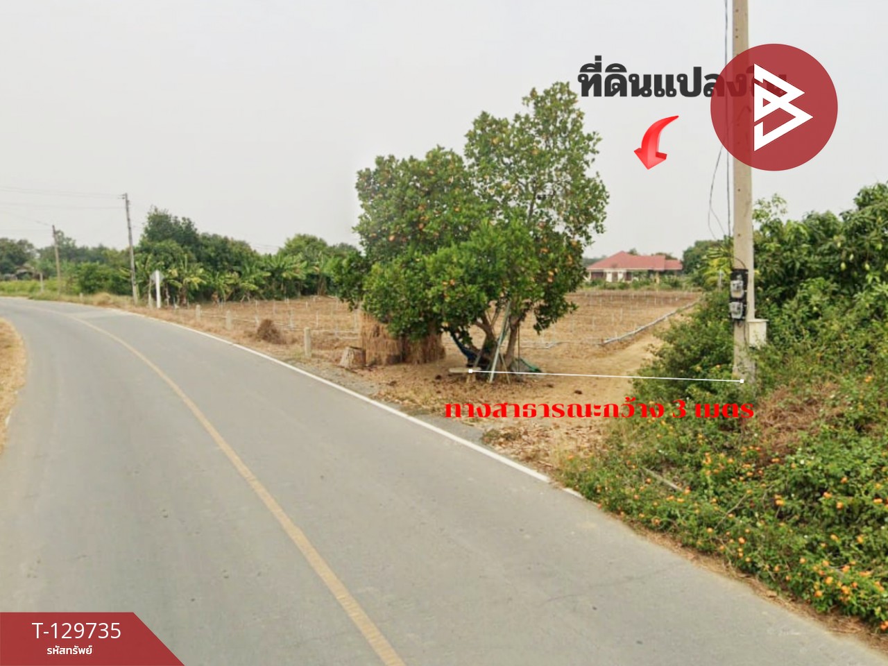 ขายที่ดินเปล่า เนื้อที่ 100 ตารางวา ติดคลองชลประทาน ต.ห้วยขวาง อ.กำแพงแสน นครปฐม 8