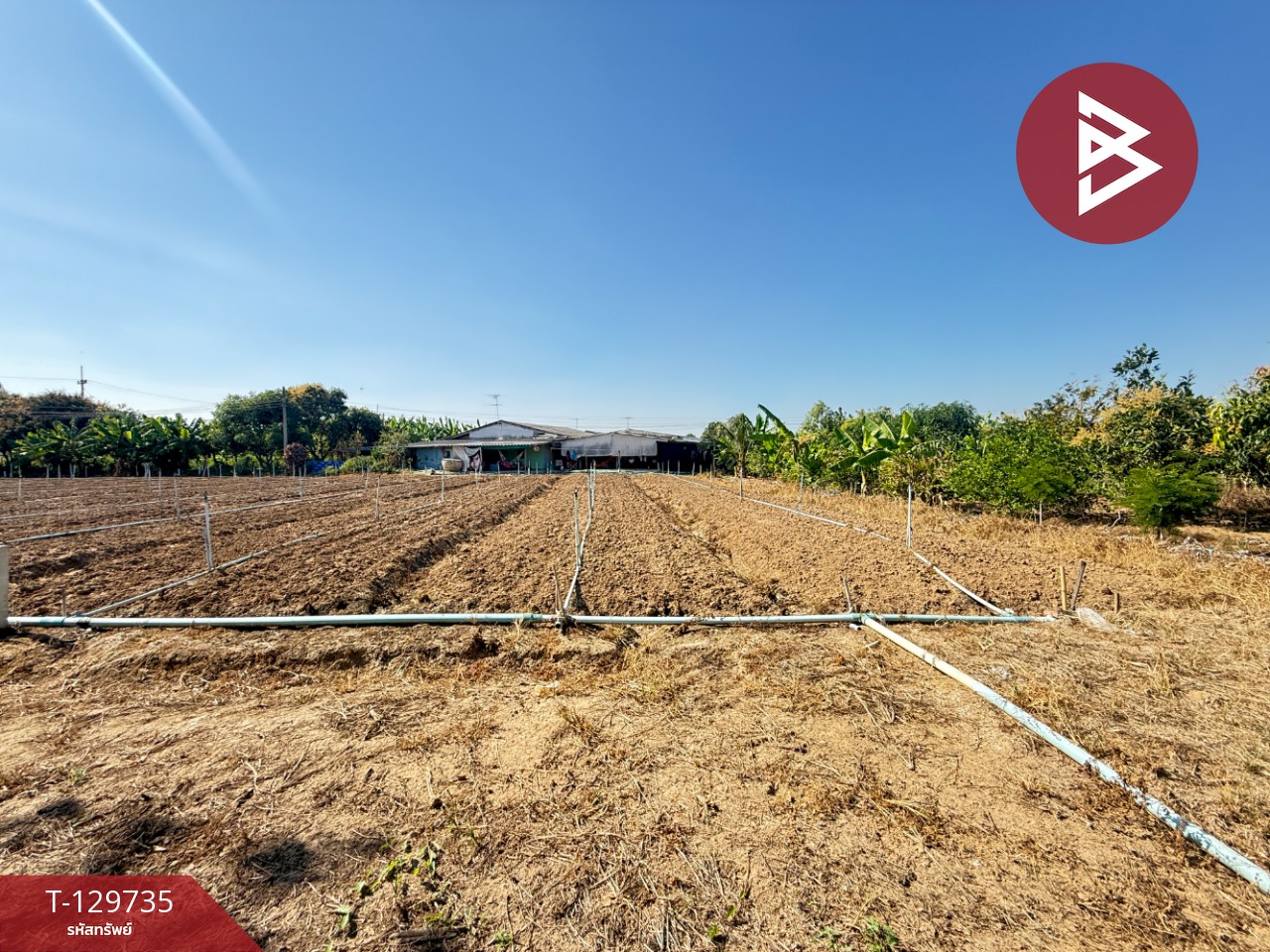 ขายที่ดินเปล่า เนื้อที่ 100 ตารางวา ติดคลองชลประทาน ต.ห้วยขวาง อ.กำแพงแสน นครปฐม 3