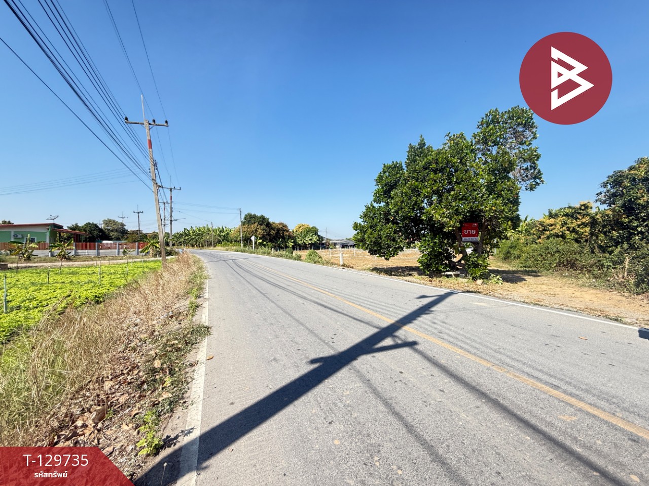 ขายที่ดินเปล่า เนื้อที่ 100 ตารางวา ติดคลองชลประทาน ต.ห้วยขวาง อ.กำแพงแสน นครปฐม 7