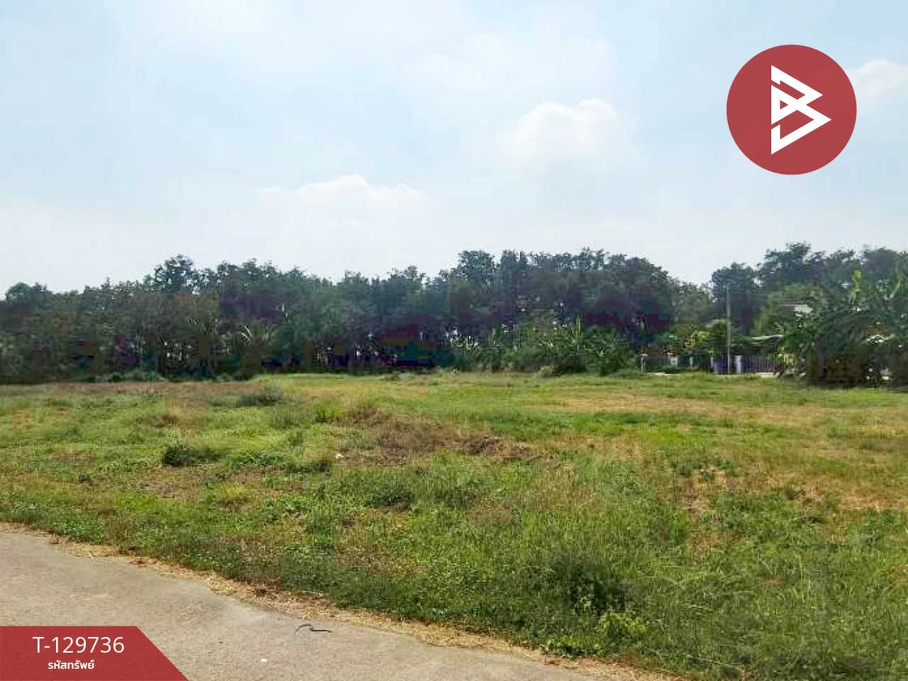 ขายที่ดิน เนื้อที่ 1 ไร่ 3 งาน 32.2 ตร.วา ปากท่อ ราชบุรี 2