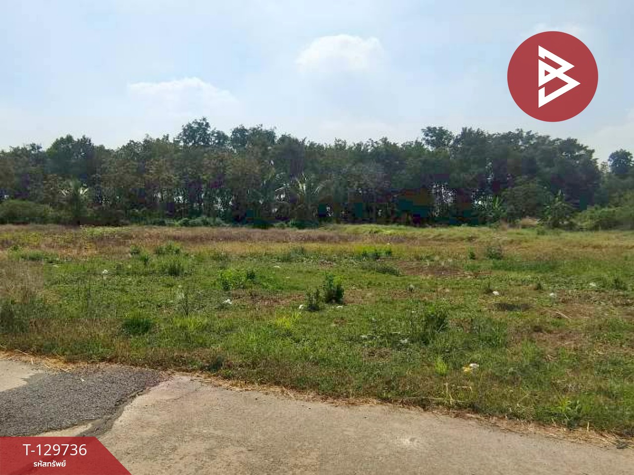 ขายที่ดิน เนื้อที่ 1 ไร่ 3 งาน 32.2 ตร.วา ปากท่อ ราชบุรี 11