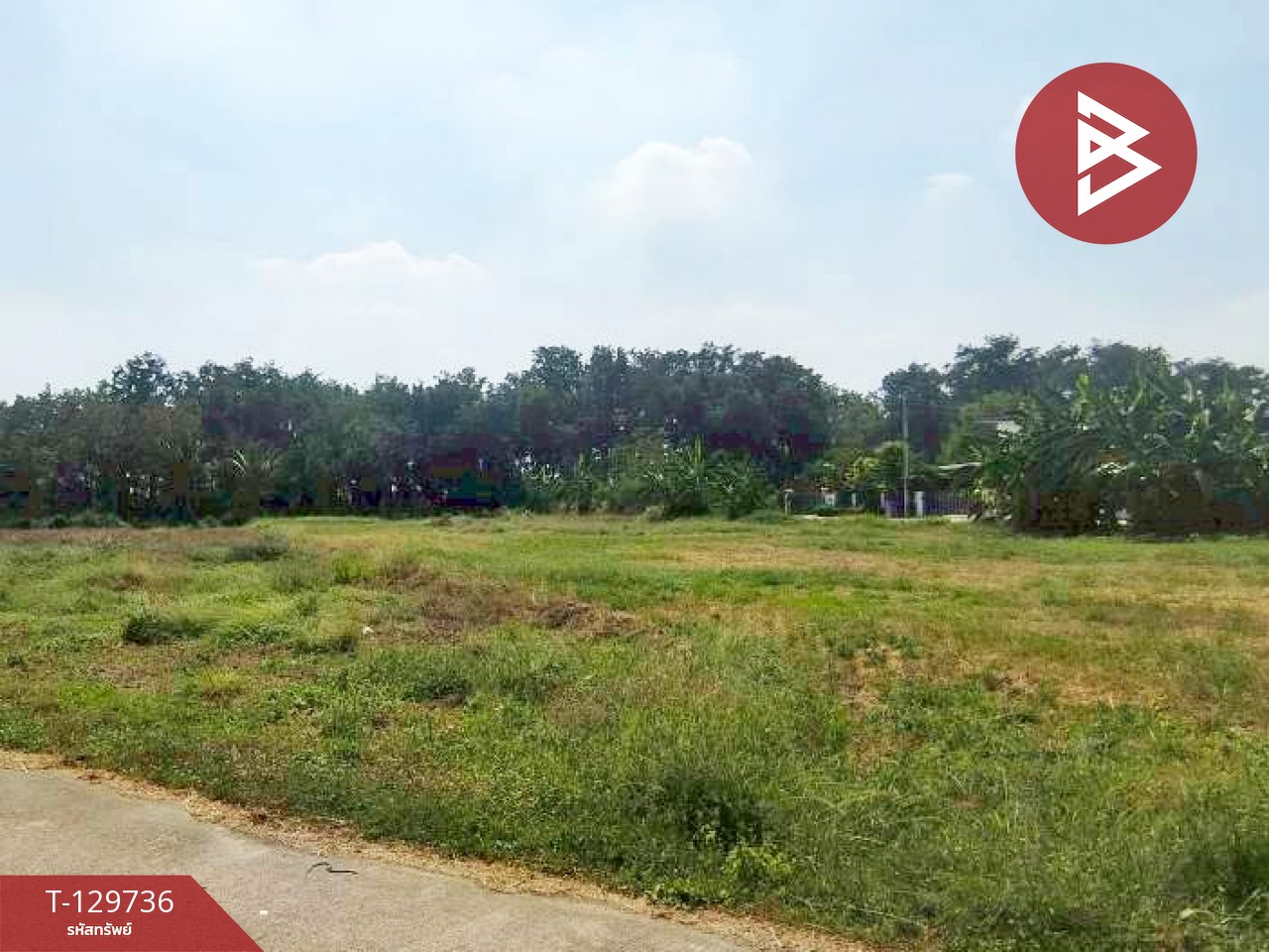 ขายที่ดิน เนื้อที่ 1 ไร่ 3 งาน 32.2 ตร.วา ปากท่อ ราชบุรี 8