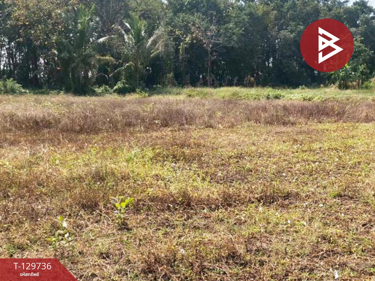 ขายที่ดิน เนื้อที่ 1 ไร่ 3 งาน 32.2 ตร.วา ปากท่อ ราชบุรี 12