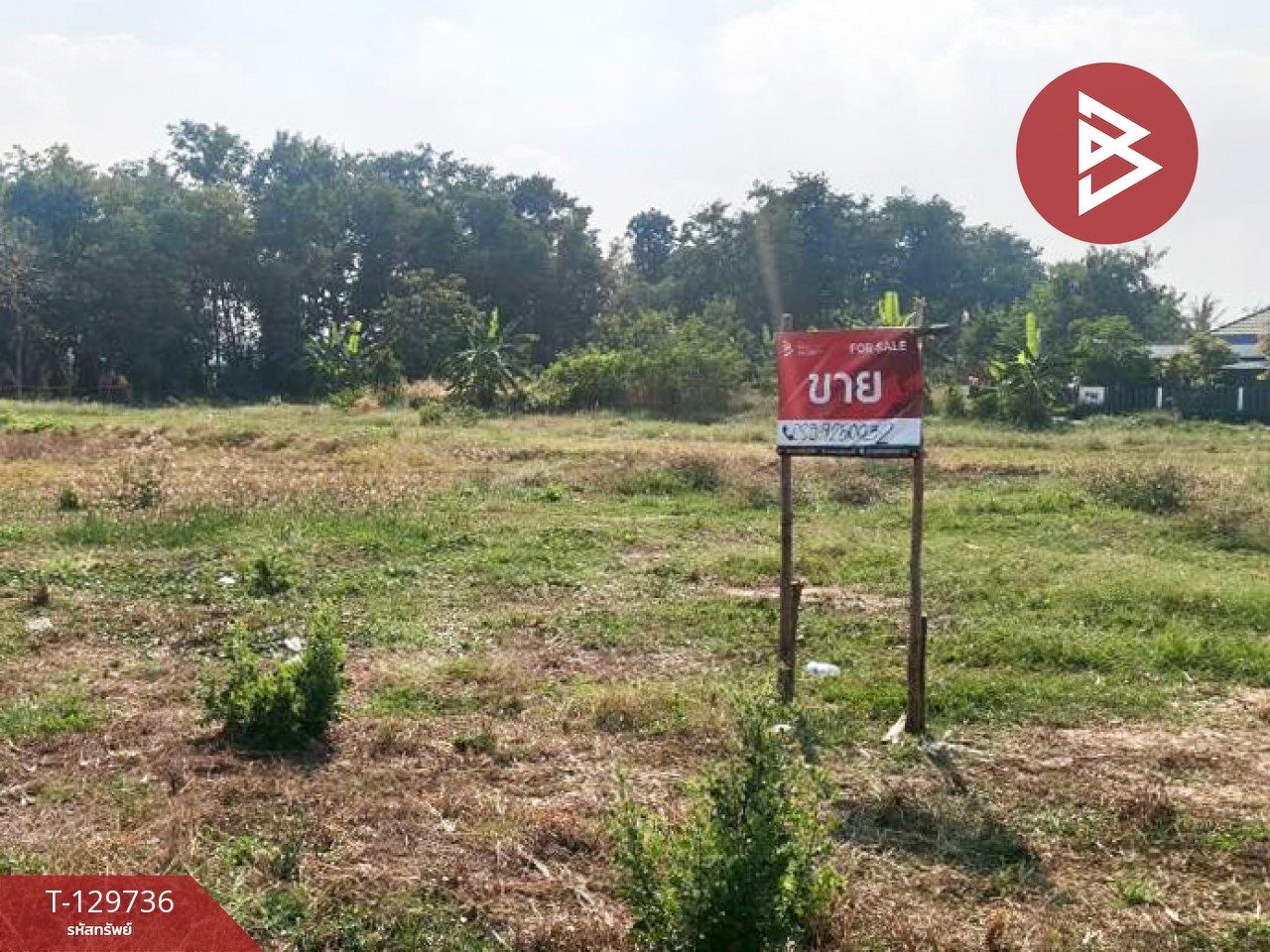 ขายที่ดิน เนื้อที่ 1 ไร่ 3 งาน 32.2 ตร.วา ปากท่อ ราชบุรี 5