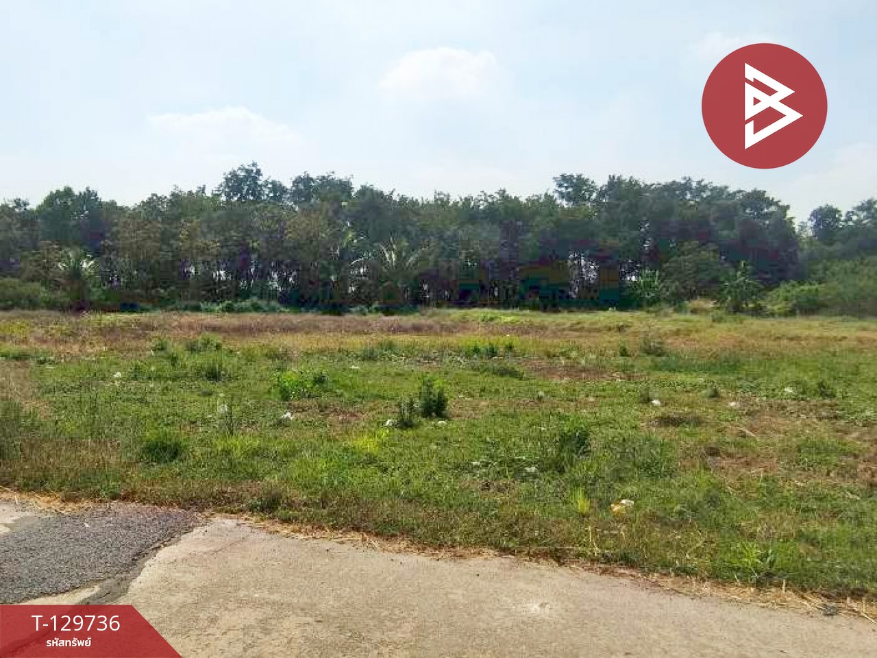 ขายที่ดิน เนื้อที่ 1 ไร่ 3 งาน 32.2 ตร.วา ปากท่อ ราชบุรี 10