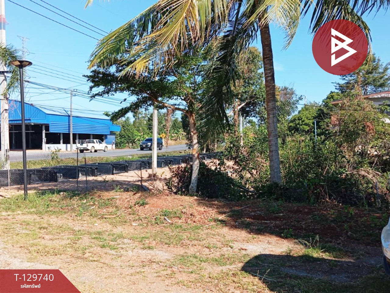 ขายที่ดิน เนื้อที่ 3 ไร่ 1 งาน 24 ตร.วา แสลง จันทบุรี 6